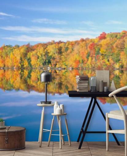 orange and yellow trees by lake wallpaper