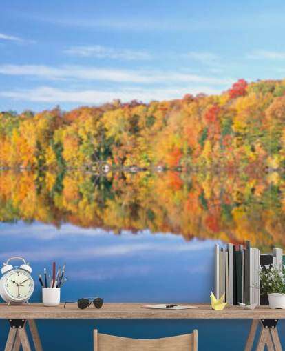 orange and yellow trees by lake wallpaper