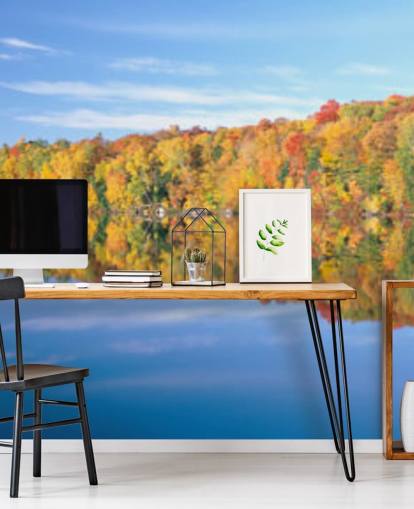 orange and yellow trees by lake wallpaper