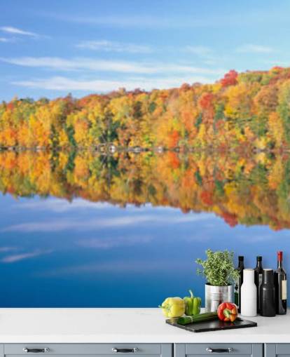 orange and yellow trees by lake wallpaper