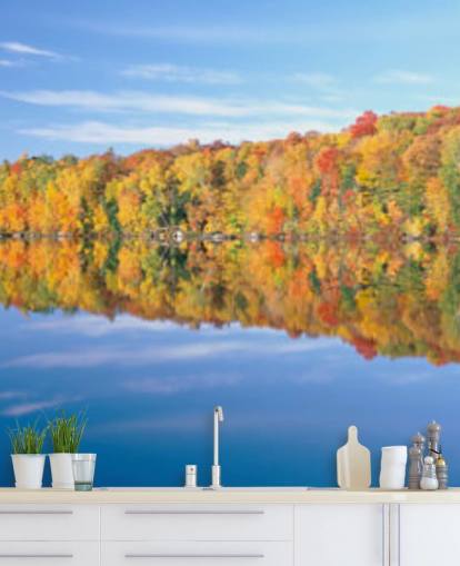 orange and yellow trees by lake wallpaper
