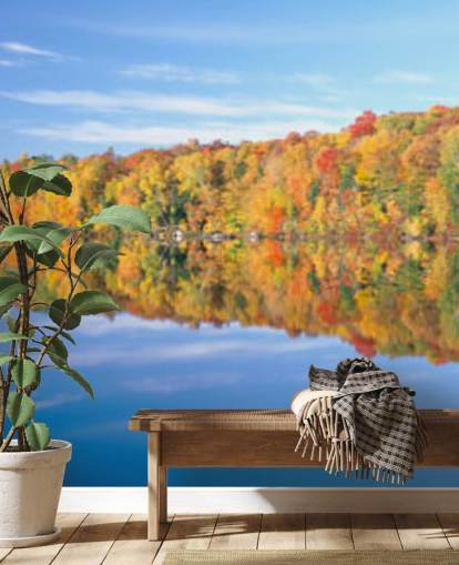 orange and yellow trees by lake wallpaper