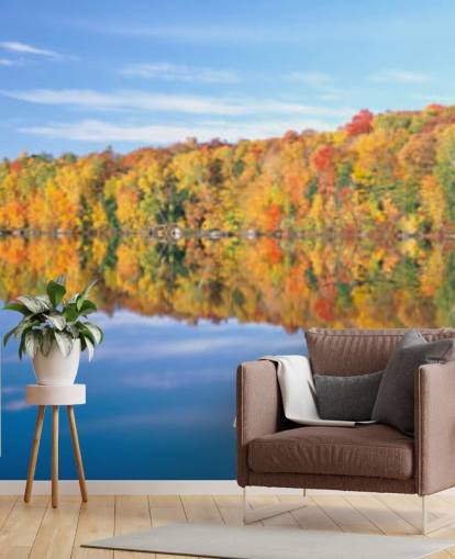 orange and yellow trees by lake wallpaper orange and yellow trees by lake wallpaper