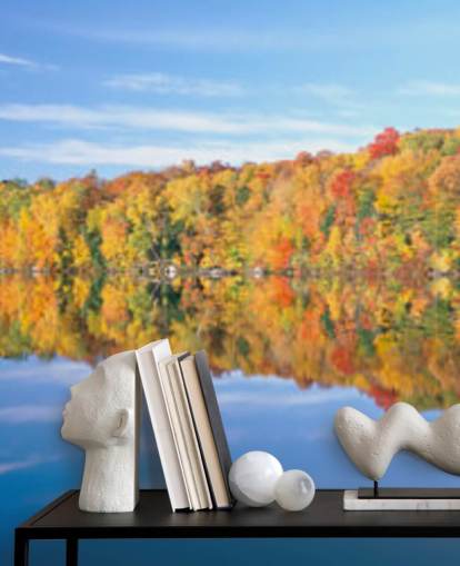 orange and yellow trees by lake wallpaper