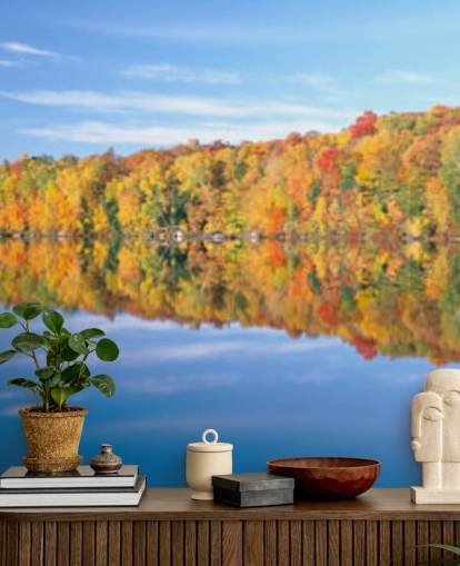 orange and yellow trees by lake wallpaper