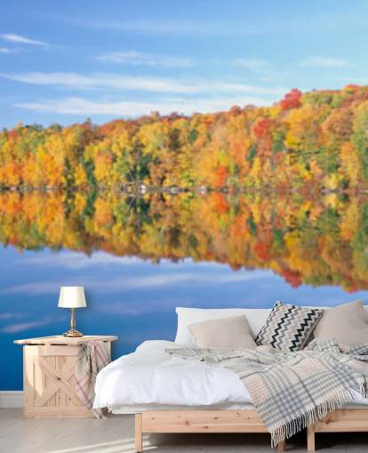 orange and yellow trees by lake wallpaper