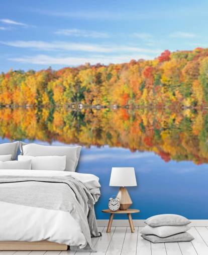 orange and yellow trees by lake wallpaper