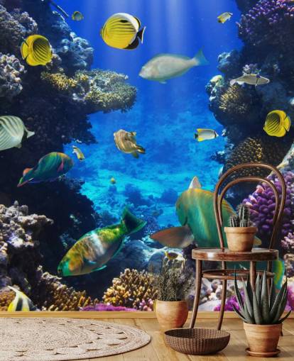 Coral Colony Coral Wallpaper