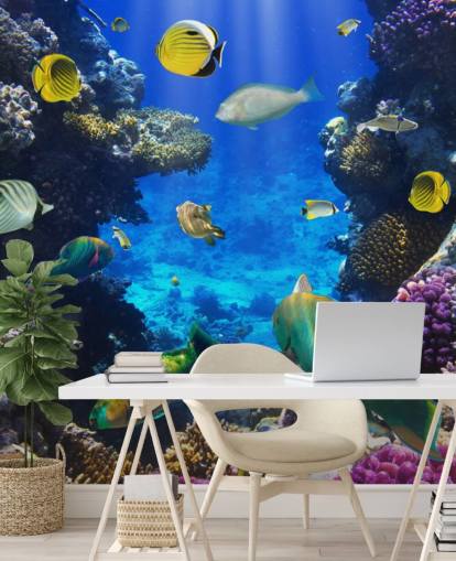 Colorful Coral and Fish Wallpaper