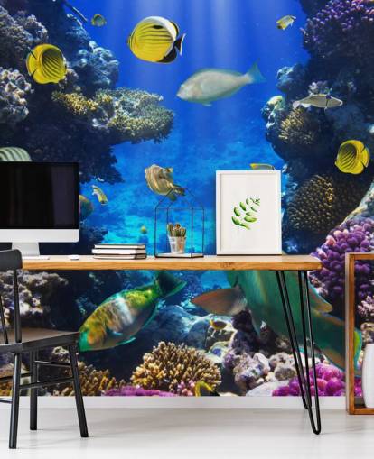 Papel de parede colorido de coral e peixe