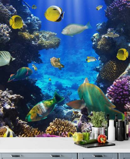 Colorful Coral and Fish Wallpaper