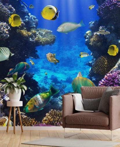 Bunte Korallen und Fische Wallpaper