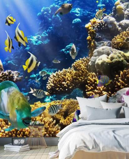 Papel de parede colorido de peixe e coral