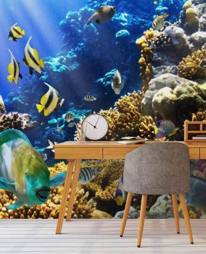 Papel de parede colorido de peixe e coral