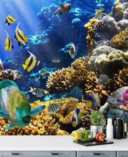 Colorful Fish and Coral Wallpaper