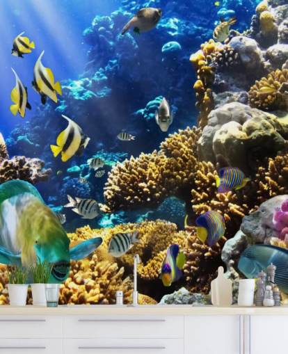 Bunte Fische und Korallen Wallpaper