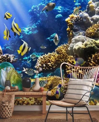 Bunte Fische und Korallen Wallpaper