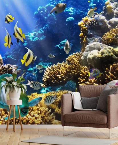 Colorful Fish and Coral Wallpaper