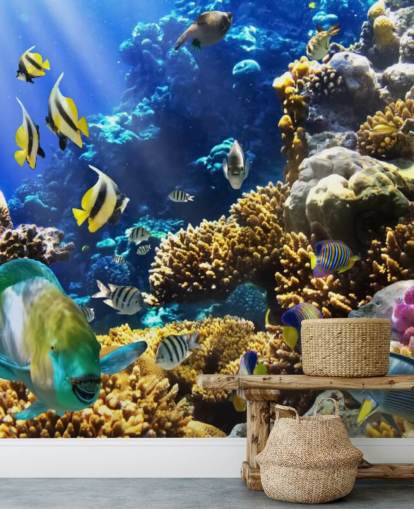 Coral Life Fish Wallpaper