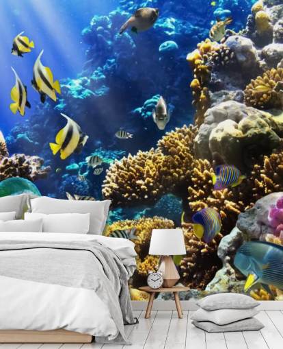 Colorful Fish and Coral Wallpaper