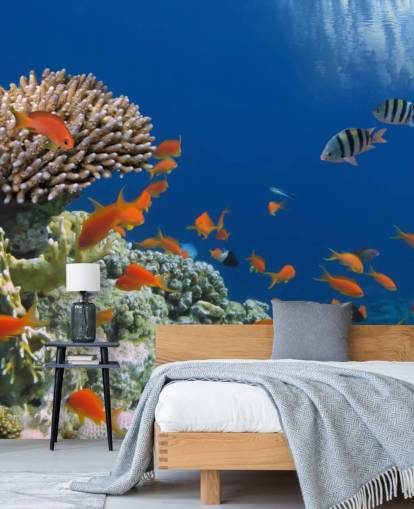 Papier peint Poissons tropicaux et coraux