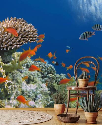 Tropical Fish and Coral Wallpaper Tropical Fish and Coral Wallpaper