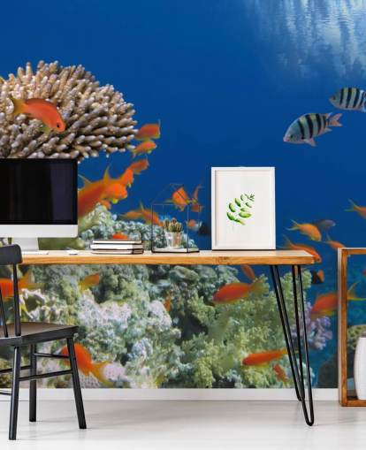 Tropische Fische und Korallen Wallpaper