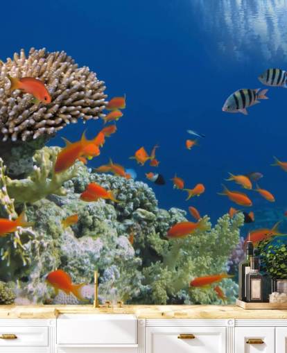 Tropical Fish and Coral Wallpaper