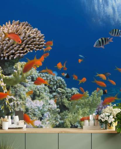 Tropical Fish and Coral Wallpaper