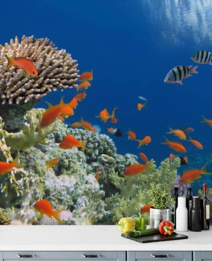 Trooppinen kala ja Coral Taustakuva