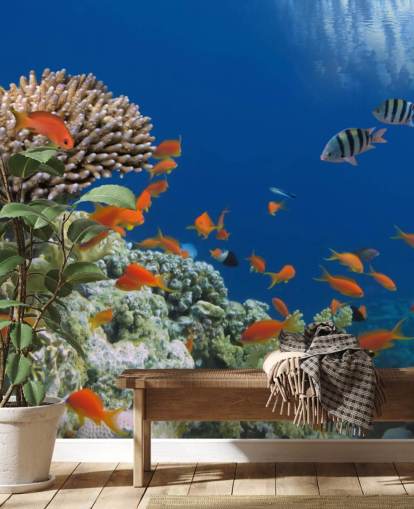 Tropische Fische und Korallen Wallpaper Tropische Fische und Korallen Wallpaper