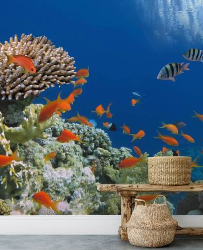 Tropical Fish and Coral Wallpaper Tropical Fish and Coral Wallpaper