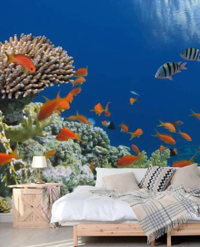 Papel de Parede Tropical Fish and Coral