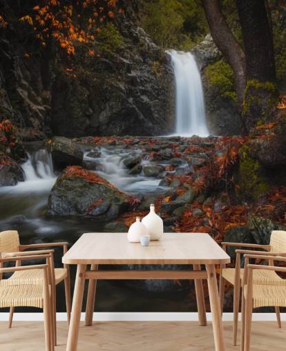 kleine waterval in herfstbosbehang kleine waterval in herfstbosbehang