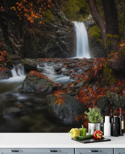 kleine waterval in herfstbosbehang kleine waterval in herfstbosbehang