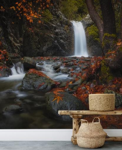petite cascade dans le papier peint de la forêt automnale petite cascade dans le papier peint de la forêt automnale