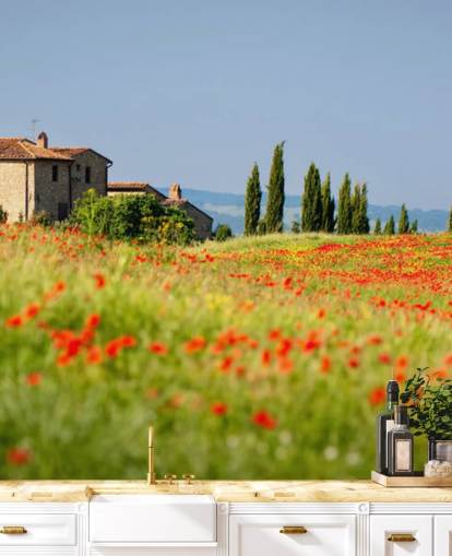 Poppy Field Italiassa Seinämaalaus