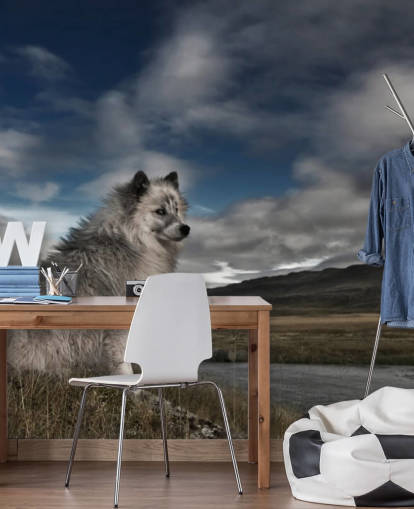 fondo de pantalla de perro peludo grande gris sentado junto a un río