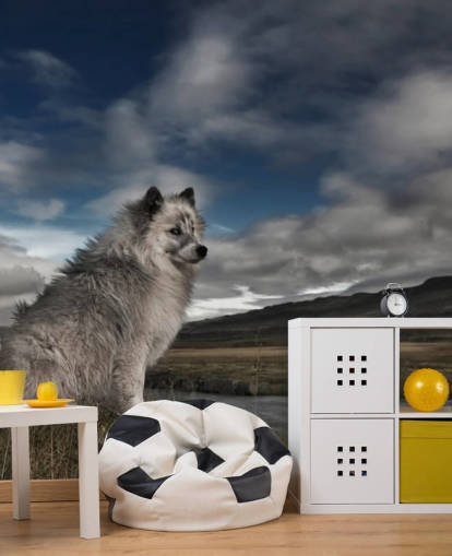 big grey shaggy dog sat by a river wallpaper big grey shaggy dog sat by a river wallpaper