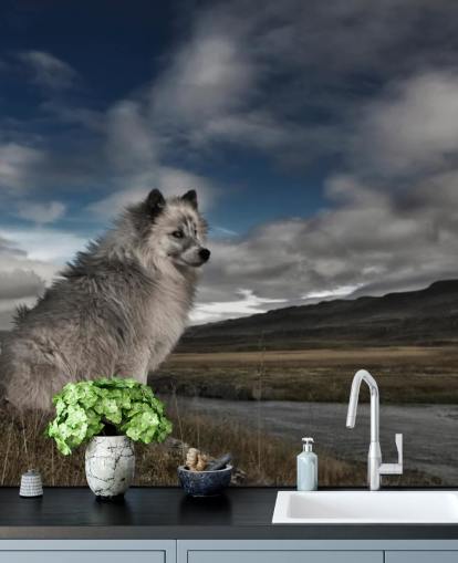 fondo de pantalla de perro peludo grande gris sentado junto a un río