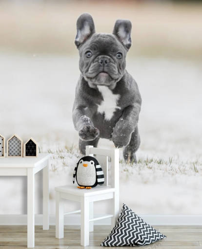 Dunkelgrau Welpen der französischen Bulldogge läuft im Schnee Tapete
