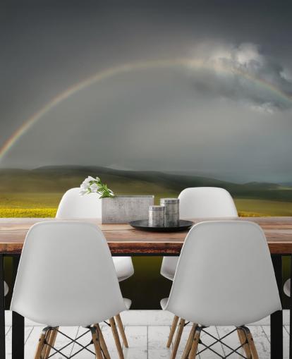 fond d'écran arc-en-ciel sur le terrain