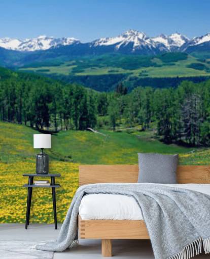 yellow meadow field with snowy mountains in distance wallpaper