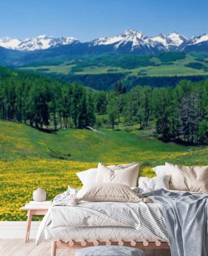 campo de prado amarelo com montanhas nevadas em papel de parede de distância