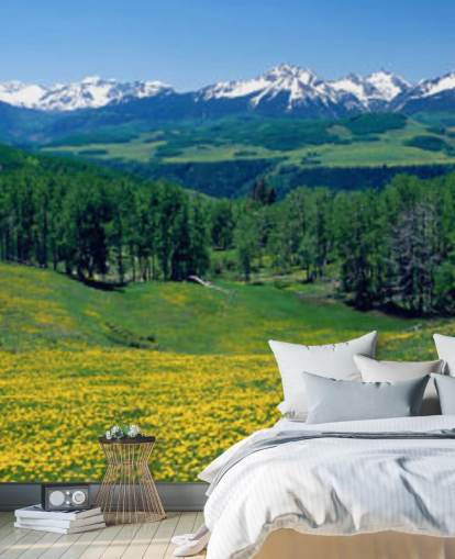 yellow meadow field with snowy mountains in distance wallpaper yellow meadow field with snowy mountains in distance wallpaper