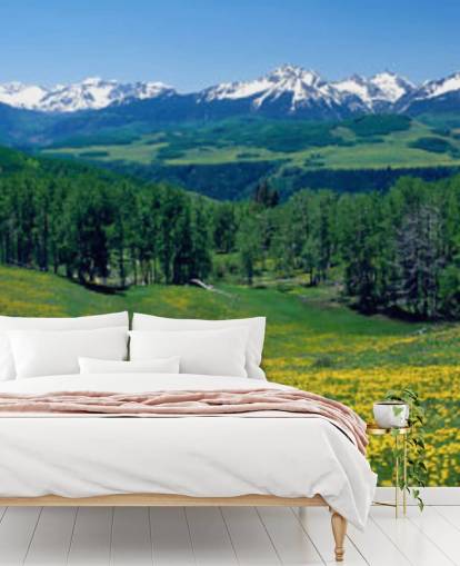 campo di prato giallo con montagne innevate in carta da parati a distanza