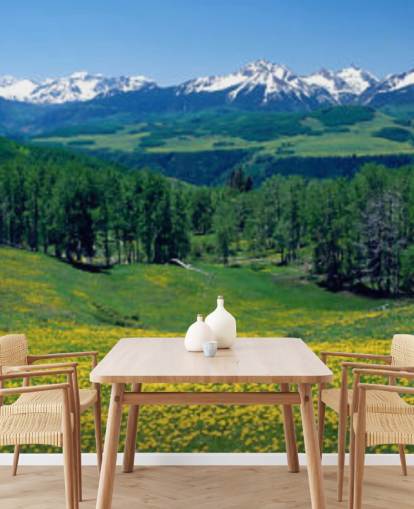 yellow meadow field with snowy mountains in distance wallpaper