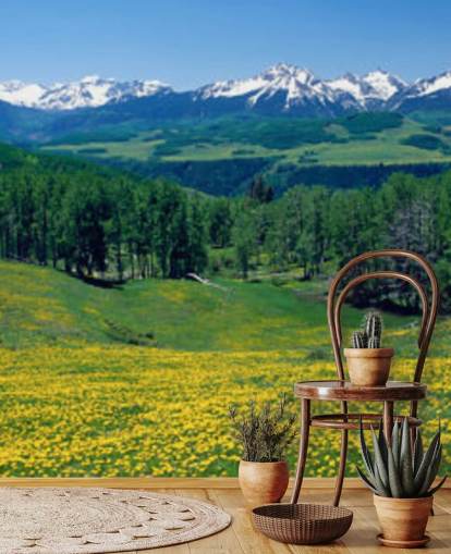 yellow meadow field with snowy mountains in distance wallpaper yellow meadow field with snowy mountains in distance wallpaper