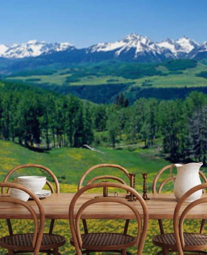 yellow meadow field with snowy mountains in distance wallpaper