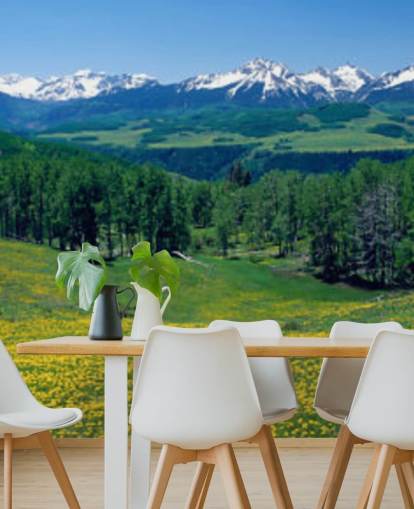 campo di prato giallo con montagne innevate in carta da parati a distanza